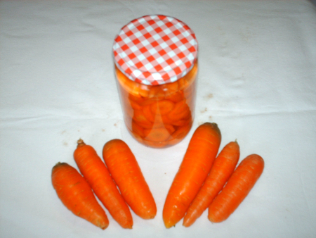 Möhren,Karotten Krankheiten
